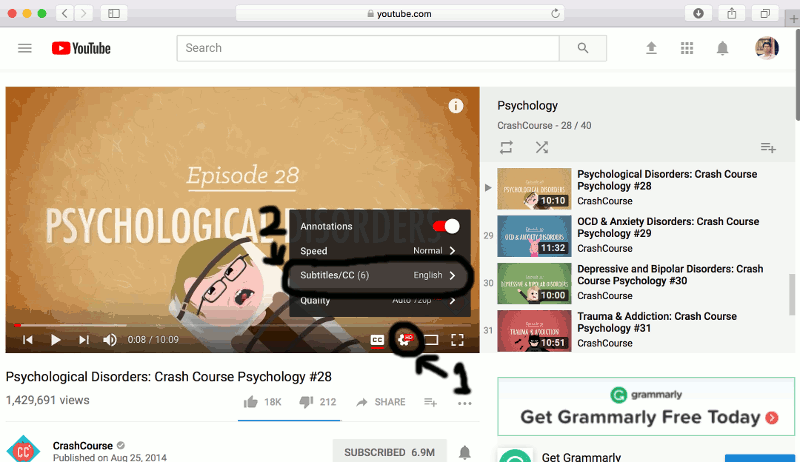 Crashcourse Subtitling Animation